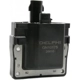 Purchase Top-Quality Ignition Coil by DELPHI - GN10175 pa13