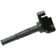 Purchase Top-Quality Ignition Coil by DELPHI - GN10184 pa12
