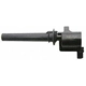 Purchase Top-Quality Ignition Coil by DELPHI - GN10192 pa1