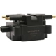 Purchase Top-Quality Ignition Coil by DELPHI - GN10220 pa19
