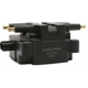 Purchase Top-Quality Ignition Coil by DELPHI - GN10220 pa9