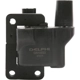 Purchase Top-Quality Ignition Coil by DELPHI - GN10222 pa4