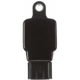 Purchase Top-Quality Ignition Coil by DELPHI - GN10243 pa19