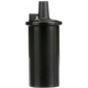 Purchase Top-Quality Ignition Coil by DELPHI - GN10273 pa10