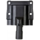 Purchase Top-Quality Ignition Coil by DELPHI - GN10286 pa13