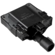 Purchase Top-Quality Ignition Coil by DELPHI - GN10286 pa19