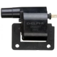 Purchase Top-Quality Ignition Coil by DELPHI - GN10291 pa27