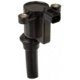 Purchase Top-Quality Ignition Coil by DELPHI - GN10300 pa8