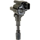 Purchase Top-Quality Ignition Coil by DELPHI - GN10305 pa7