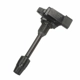 Purchase Top-Quality Ignition Coil by DELPHI - GN10306 pa17