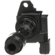 Purchase Top-Quality Ignition Coil by DELPHI - GN10306 pa27