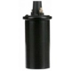 Purchase Top-Quality Ignition Coil by DELPHI - GN10339 pa18