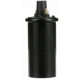 Purchase Top-Quality Ignition Coil by DELPHI - GN10339 pa19