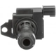 Purchase Top-Quality Ignition Coil by DELPHI - GN10431 pa22