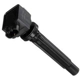 Purchase Top-Quality Ignition Coil by DELPHI - GN10439 pa1