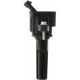 Purchase Top-Quality Ignition Coil by DELPHI - GN10454 pa16