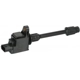 Purchase Top-Quality Ignition Coil by DELPHI - GN10670 pa31