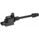 Purchase Top-Quality Ignition Coil by DELPHI - GN10670 pa9