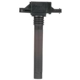 Purchase Top-Quality Ignition Coil by DELPHI - GN10684 pa12