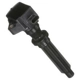 Purchase Top-Quality Ignition Coil by DELPHI - GN10725 pa1