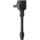 Purchase Top-Quality Ignition Coil by DELPHI - GN10734 pa8