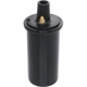 Purchase Top-Quality HOLSTEIN - 2IGC0033 - Ignition Coil pa1