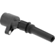 Purchase Top-Quality HOLSTEIN - 2IGC0119 - Ignition Coil pa1