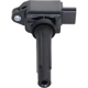 Purchase Top-Quality HOLSTEIN - 2IGC0462 - Ignition Coil pa6