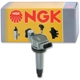 Purchase Top-Quality Ignition Coil by NGK - 48930 pa2