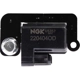 Purchase Top-Quality NGK - 49125 - Ignition Coil pa4