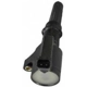 Purchase Top-Quality RICHPORTER TECHNOLOGY - C500 - Ignition Coil pa1