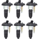 Purchase Top-Quality WALKER PRODUCTS - 928-4055-6 - Ignition Coil Set pa1