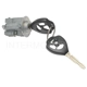Purchase Top-Quality Cylindre de verrouillage d'allumage de BLUE STREAK (HYGRADE MOTOR) - US491L pa2