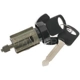 Purchase Top-Quality Ignition Lock Cylinder by BLUE STREAK (HYGRADE MOTOR) - US174LB pa2
