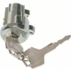 Purchase Top-Quality Ignition Lock Cylinder by BLUE STREAK (HYGRADE MOTOR) - US308L pa3