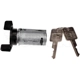 Purchase Top-Quality Ignition Lock Cylinder by DORMAN (OE SOLUTIONS) - 989-036 pa4