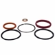 Purchase Top-Quality Injector O-Ring Or Seal by MOTORCRAFT - CM5010 pa1