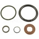 Purchase Top-Quality Injector Seal Kit by BLUE STREAK (HYGRADE MOTOR) - SK146 pa1