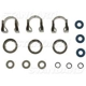 Purchase Top-Quality Injector Seal Kit by BLUE STREAK (HYGRADE MOTOR) - SK150 pa3