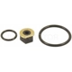 Purchase Top-Quality Injector Seal Kit by BLUE STREAK (HYGRADE MOTOR) - SK65 pa2