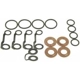 Purchase Top-Quality Injector Seal Kit by BLUE STREAK (HYGRADE MOTOR) - SK67 pa1