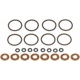 Purchase Top-Quality Injector Seal Kit by DORMAN (OE SOLUTIONS) - 904-135 pa1