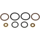 Purchase Top-Quality Injector Seal Kit by DORMAN (OE SOLUTIONS) - 904-207 pa4