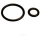 Purchase Top-Quality Injector Seal Kit by GB REMANUFACTURING - 8-018 pa2