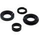 Purchase Top-Quality Injector Seal Kit by GB REMANUFACTURING - 8-096 pa1