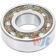 Purchase Top-Quality Input Shaft Bearing by WJB - RB6204RS pa1