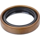 Purchase Top-Quality Input Shaft Seal by SKF - 17502 pa1
