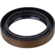 Purchase Top-Quality Input Shaft Seal by SKF - 17502 pa2