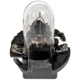 Purchase Top-Quality Instrument Light by DORMAN (OE SOLUTIONS) - 639-047 pa2