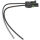 Purchase Top-Quality Connecteur de panneau de bord by BLUE STREAK (HYGRADE MOTOR) - HP4375 pa12